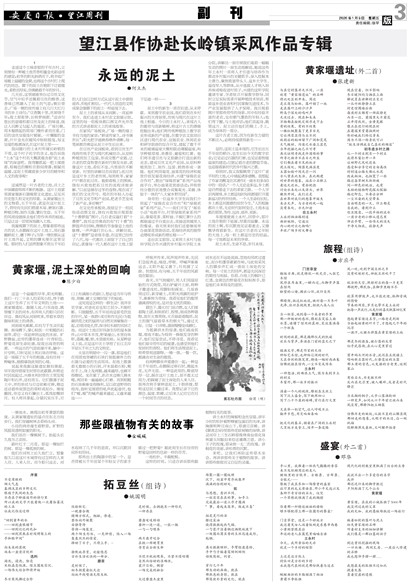 望江周刊三版